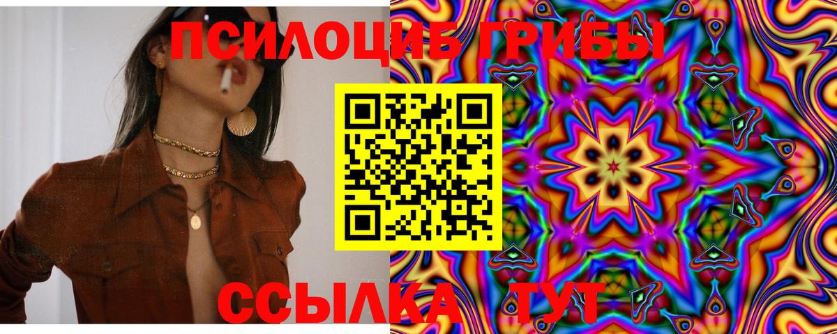 Тимашёвск  Галлюциногенные грибы прущие грибы  Вход с VPN 